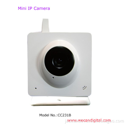 Mini IP Camera
